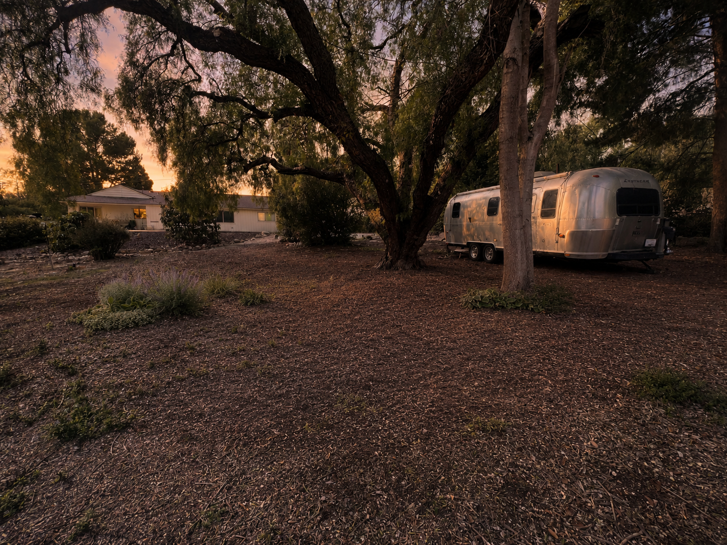 Exterior backyard